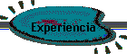 Experiencia